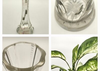 Collage of clear glass vase details and a green plant.
