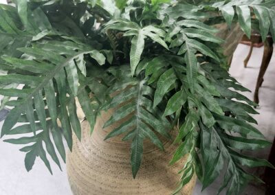 Green leafy plant in a woven basket indoors.