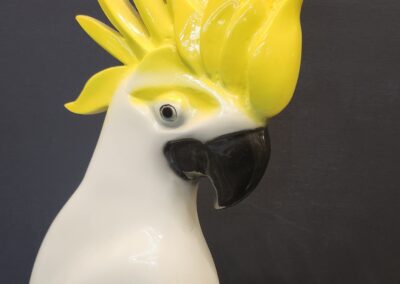A close-up of a white cockatoo with a vibrant yellow crest.