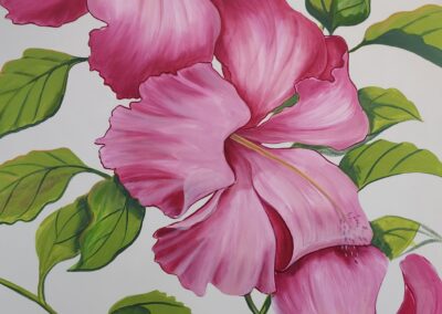 Close-up of vibrant pink hibiscus flowers with green leaves.