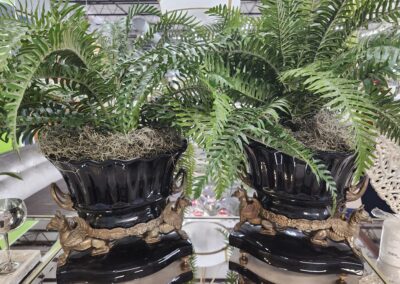 Two lush ferns planted in ornate black and gold pots on matching stands.