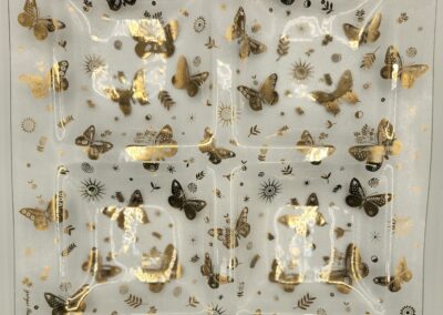 Display of various pinned butterflies in a collection case.