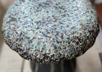 Close-up of a textured mushroom cap with a speckled pattern.