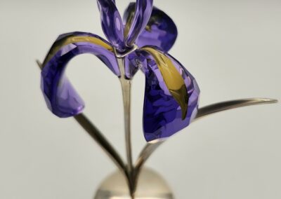 A purple iris flower in a vase with a soft background.