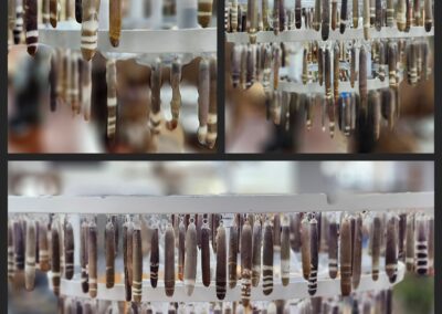 Hanging seashell wind chimes in store display.