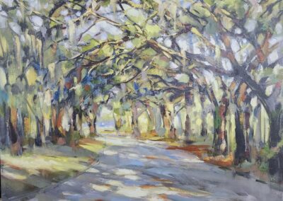 Tree-lined path with dappled sunlight.