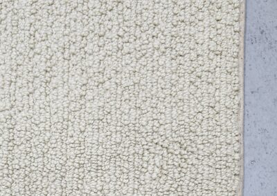 Beige carpet on grey concrete floor.