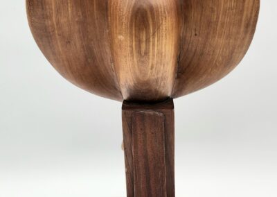 Wooden bird sculpture with outstretched wings.