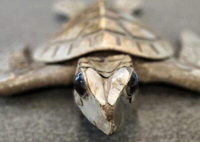 Stone turtle sculpture with detailed carvings.