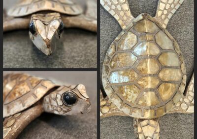 Wooden turtle sculpture with detailed shell design.